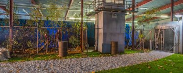 El Cartel Media Night 2014